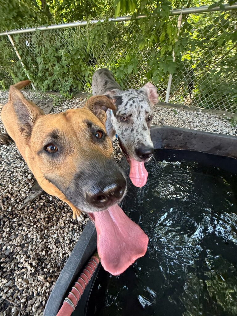 20250702 100952 00085e